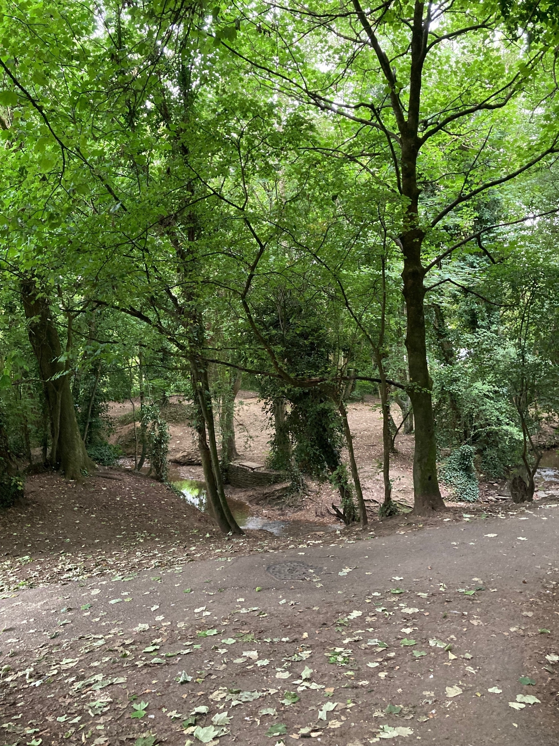 A wooded area, with a stream and natural footpaths.